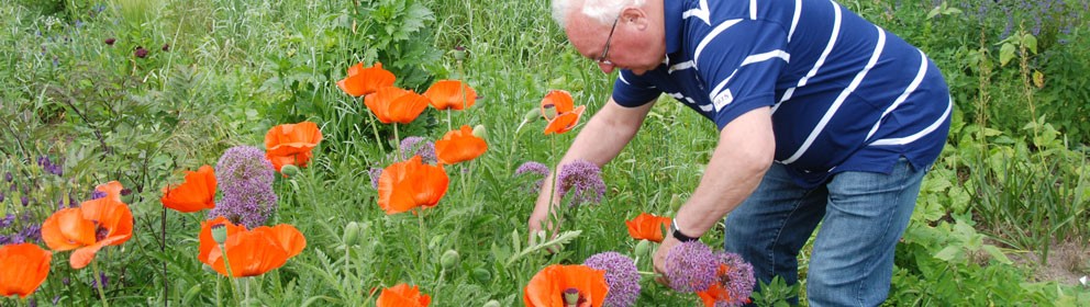 Bloemen plukken in de tuin