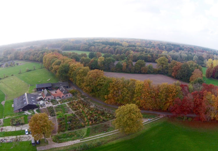 Het groene landschap van Laren, Gelderland
